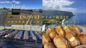 【2025年夏】ワイメア観光1日｜フリフリチキン・ファーマーズマーケット・テックスドライブイン・ワイピオ渓谷を家族で満喫