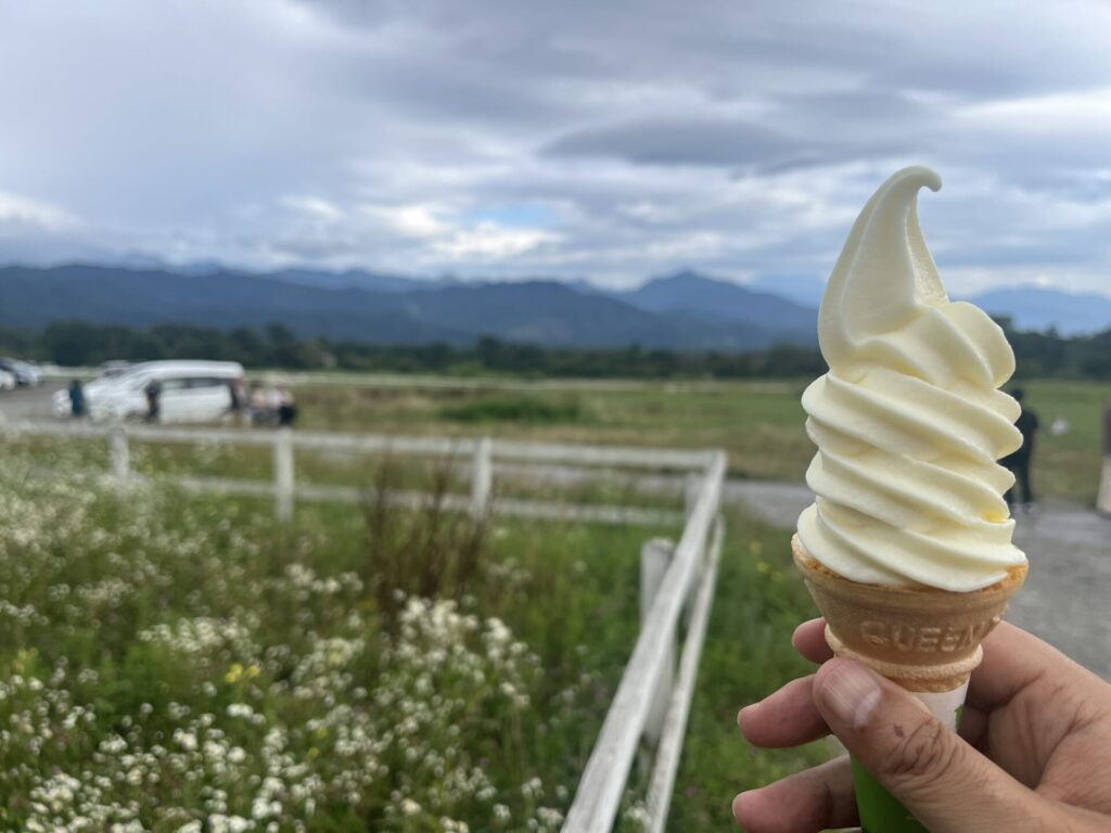 清泉寮のソフトクリーム
