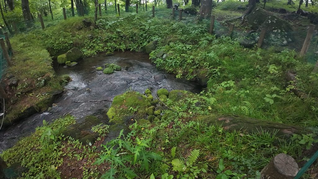三分一湧水の湧き水