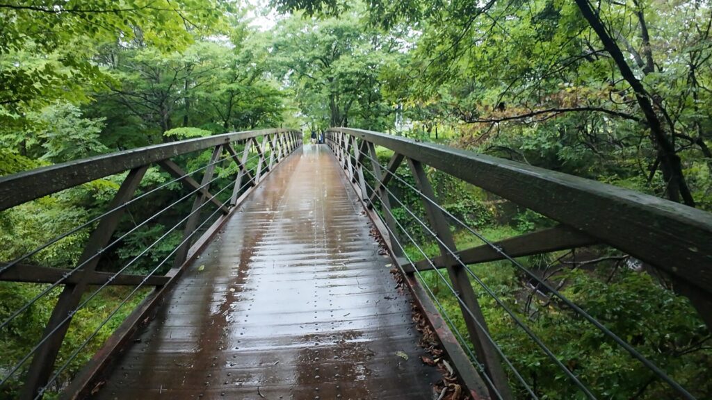 三分一湧水の湧水橋
