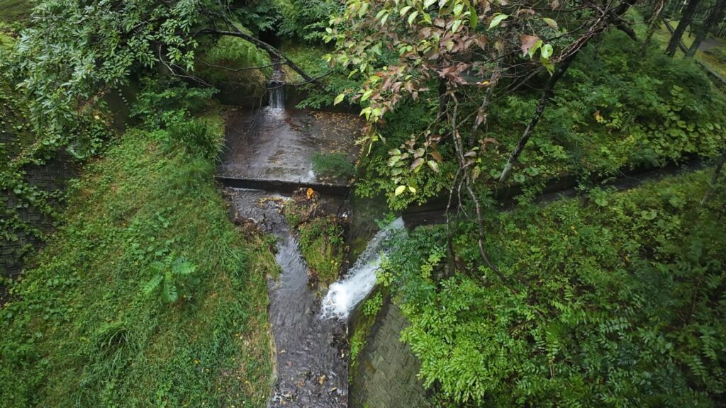 三分一湧水が川に流れ込む風景