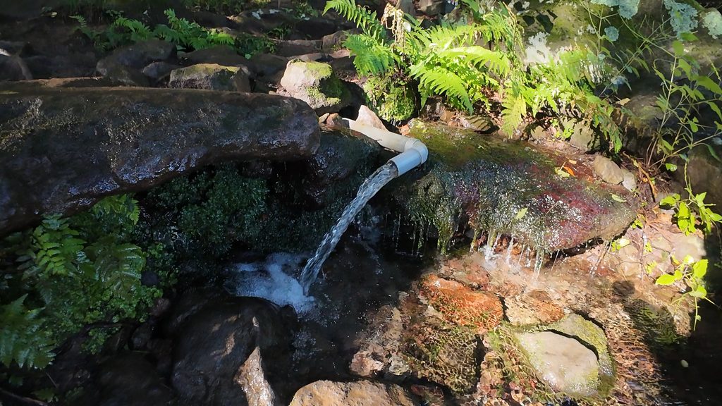 大滝神社の湧き水